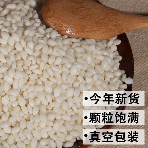 【吉顺号食品】糯米新米 大粒糯米500g真空锁鲜 商品图2