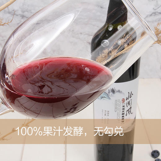 北国风低温发酵野生蓝莓酒 商品图2