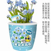 【荣民】XM353 星梦小花匠 迷你可爱盆栽小盆景 植物种子种植 培养孩子动手能力 商品缩略图1