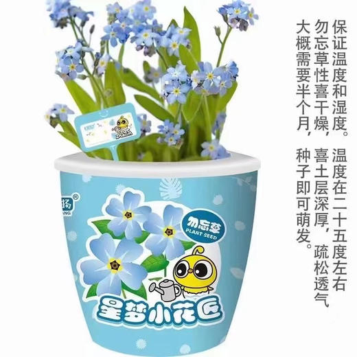 【荣民】XM353 星梦小花匠 迷你可爱盆栽小盆景 植物种子种植 培养孩子动手能力 商品图1