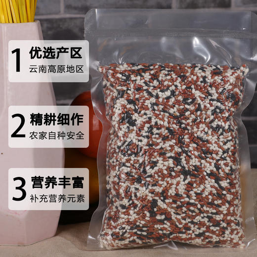 【吉顺号食品】粗粮主食 云南墨江三色米杂粮大米500g/包 商品图5