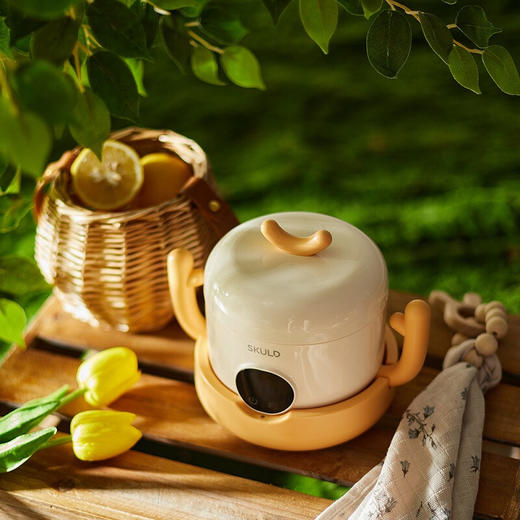 时蔻（SKULD）恒温碗K5.k7  XR 商品图2