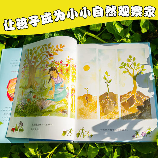 一年级自然观察课：全5册（适合一年级孩子的自然观察绘本） 商品图5