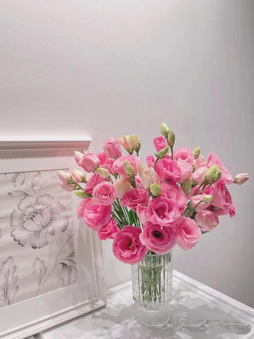 洋桔梗（三枝）颜色随机酒红色/粉色/白色 商品图1