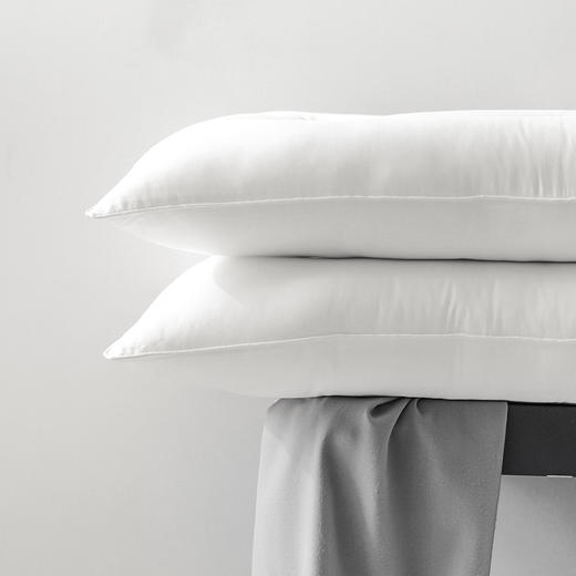 酒店严选 | 荞麦枕芯 （不含枕套） 商品图1