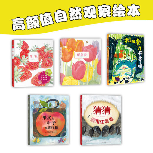 一年级自然观察课：全5册（适合一年级孩子的自然观察绘本） 商品图1
