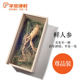 沈爷的宝贝 平安津村 尊品装鲜人参50g/盒 贡品装 鲜人参100g/盒 包邮