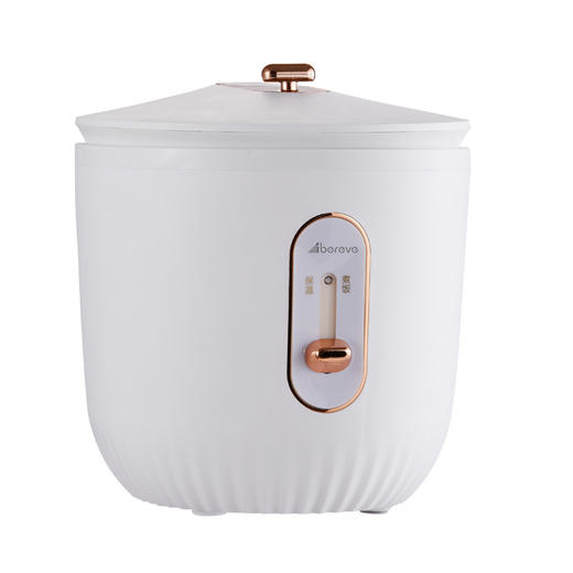 艾贝丽|电饭煲ABL-DFB20 商品图1