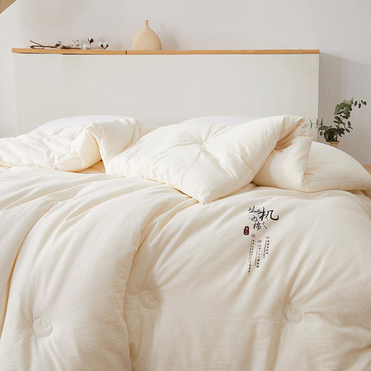 悦醒新品A类生机原棉大豆被 原生态不漂染大豆被子秋冬被芯 商品图7