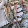 〔象山码头直发包邮17〕码头海鲜野生梭子蟹/鲳鱼/带鱼/深海黄鱼/野生花蛤/海钓鲷鱼/红膏青蟹/芒种虾皮/带膏小管/泥蛏子/斑节虾/翡翠鲍鱼/章鱼/琵琶虾/皮皮虾/小船红虾/墨鱼干 商品缩略图8