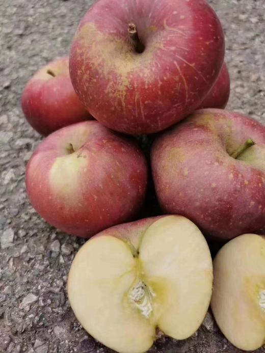 凉山丑苹果（云南） 商品图3