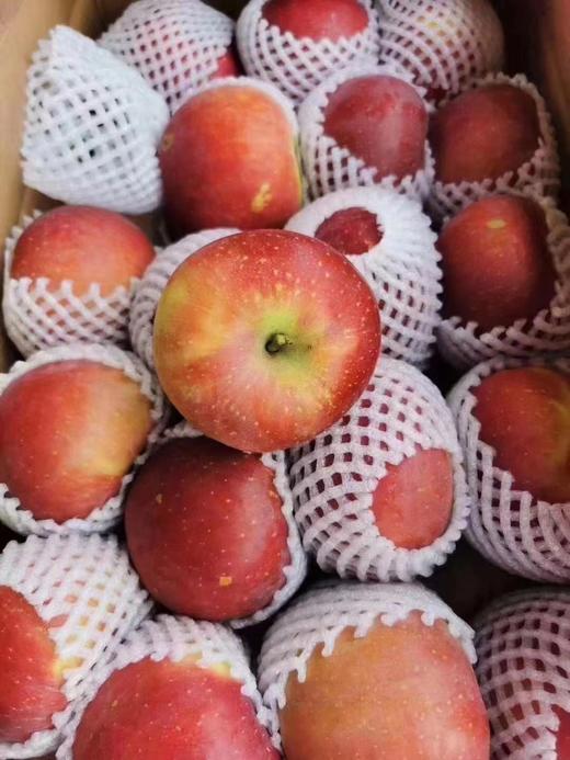 凉山丑苹果（云南） 商品图2