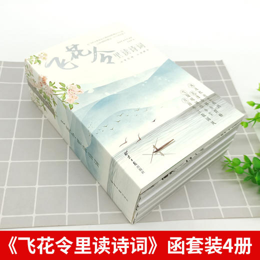 飞花令里读诗词全套4册 风花雪月古诗词鉴赏大全 商品图1