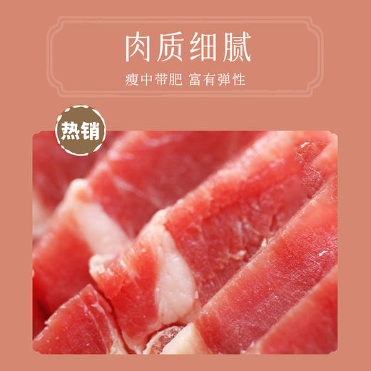 【泰康腌腊】咸肉500g 商品图1