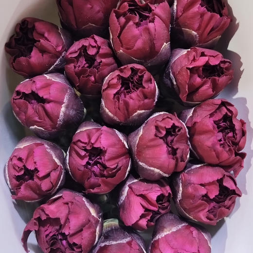 康乃馨.红绸（永恒） 商品图1