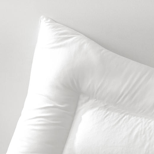 酒店严选 | 荞麦枕芯 （不含枕套） 商品图2