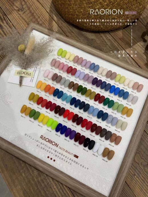 .【秒杀价】RAORION 60色. 商品图1