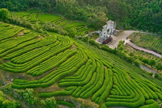 【五一华为专团】双遗武夷山、探索天游峰、漫步大红袍、秀丽九曲溪动车四日游 商品图2