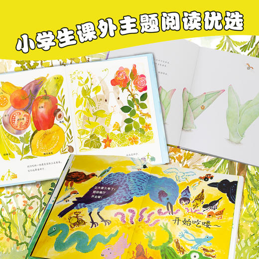 一年级自然观察课：全5册（适合一年级孩子的自然观察绘本） 商品图3