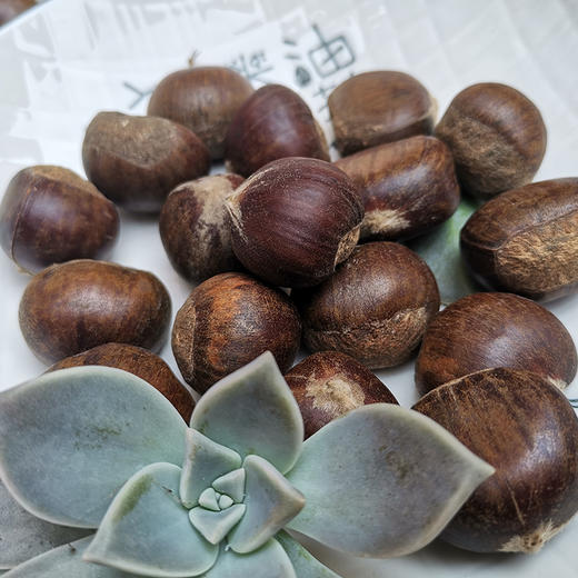 绘甜迁西板栗 商品图8