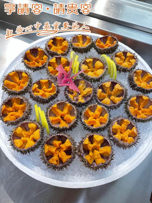 马粪海胆 商品图0