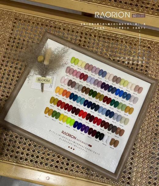 .【秒杀价】RAORION 60色. 商品图0