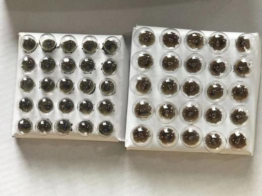 大小灯泡三粒 商品图2