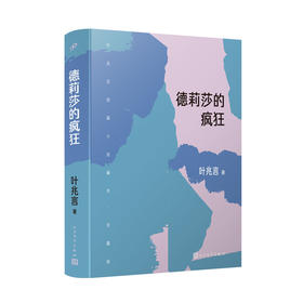 德莉莎的疯狂（叶兆言短篇小说编年：珍藏版）