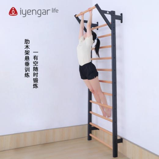 A5013单排肋木架（需要承重墙安装） 商品图1