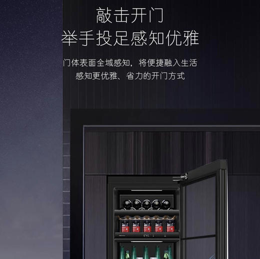 卡萨帝（Casarte）冰吧LC-251WLCDFM1U1 商品图8