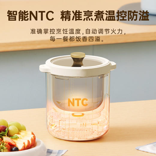 BRUNO复古电饭煲小型2-3人食迷你饭煲多功能家用mini电饭锅 商品图1