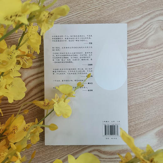 露从今夜白 沈从文 著 文学 商品图3