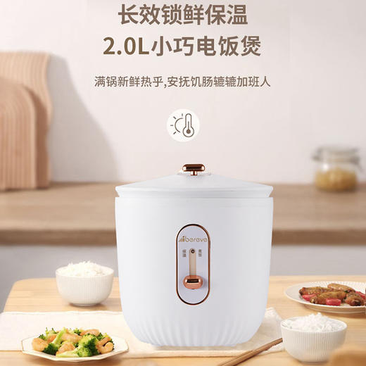 艾贝丽|电饭煲ABL-DFB20 商品图9