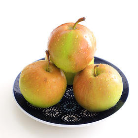 【质农】地理标志产品  2025新果 延安翡翠梨，脆甜多汁 皮薄核小