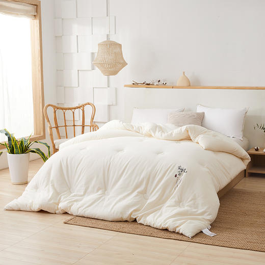 悦醒新品A类生机原棉大豆被 原生态不漂染大豆被子秋冬被芯 商品图1