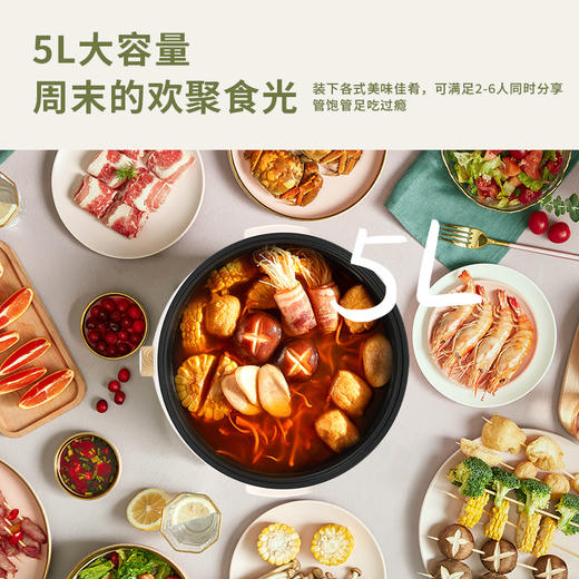 艾贝丽 / 5升电火锅ABL-C32 商品图5