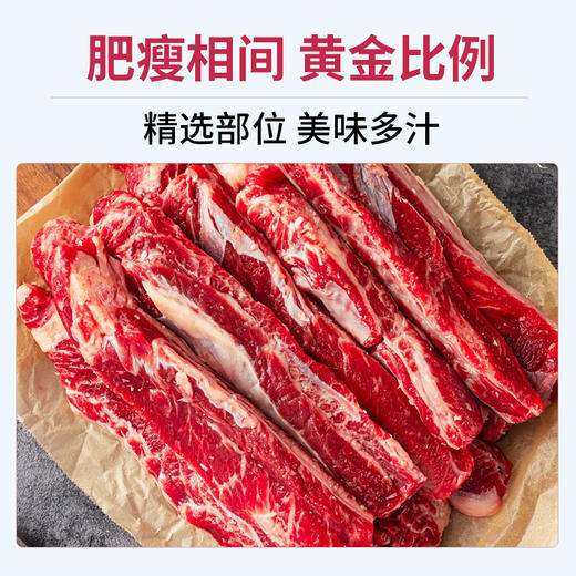 加拿大谷饲安格斯牛 牛肋条约2-2.4kg【1条/袋*2】约1-1.2kg/条（一般贸易） 商品图1