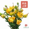 百合-杏仁软糖多头 5枝一扎 商品缩略图0