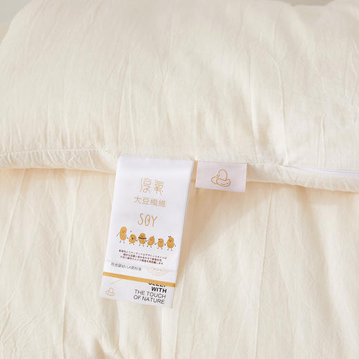 悦醒新品A类生机原棉大豆被 原生态不漂染大豆被子秋冬被芯 商品图4