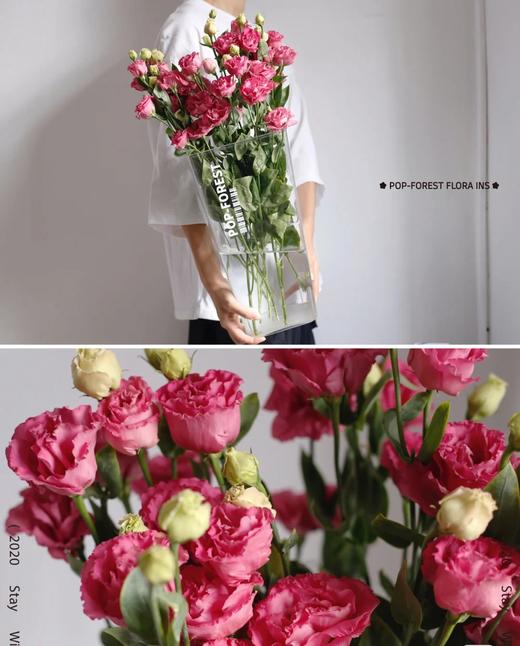 洋桔梗（三枝）颜色随机酒红色/粉色/白色 商品图3