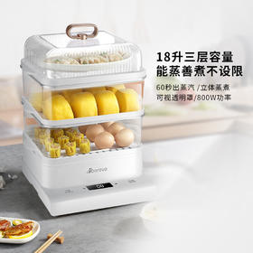 艾贝丽 | 电蒸锅ABL-ZG167