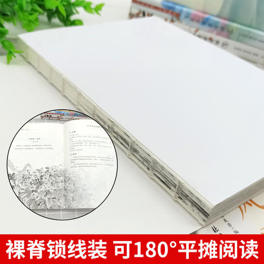 飞花令里读诗词全套4册 风花雪月古诗词鉴赏大全 商品图4