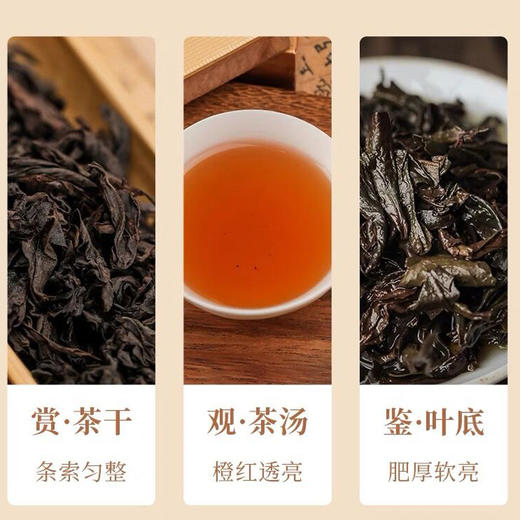 大坑口 牛栏坑肉桂 武夷岩茶 48g 礼盒 商品图2