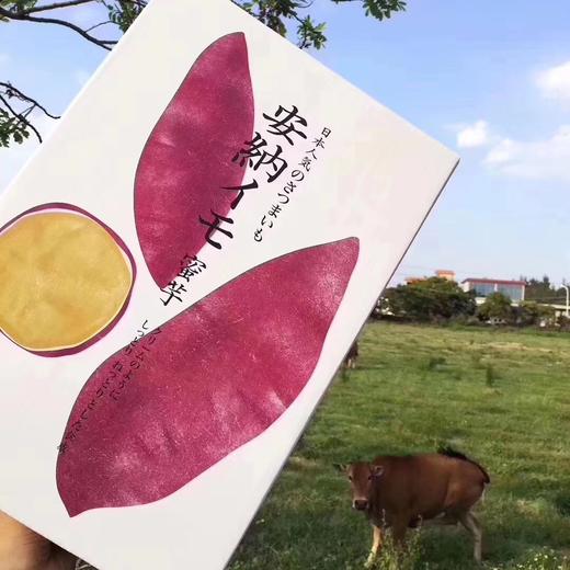 安奈芋地瓜🍠（5斤装） 商品图1