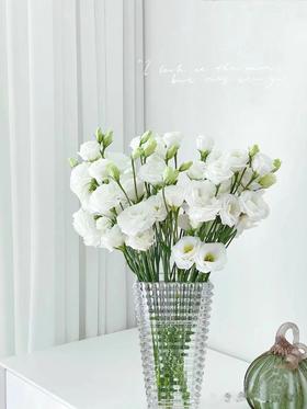 洋桔梗（三枝）颜色随机酒红色/粉色/白色