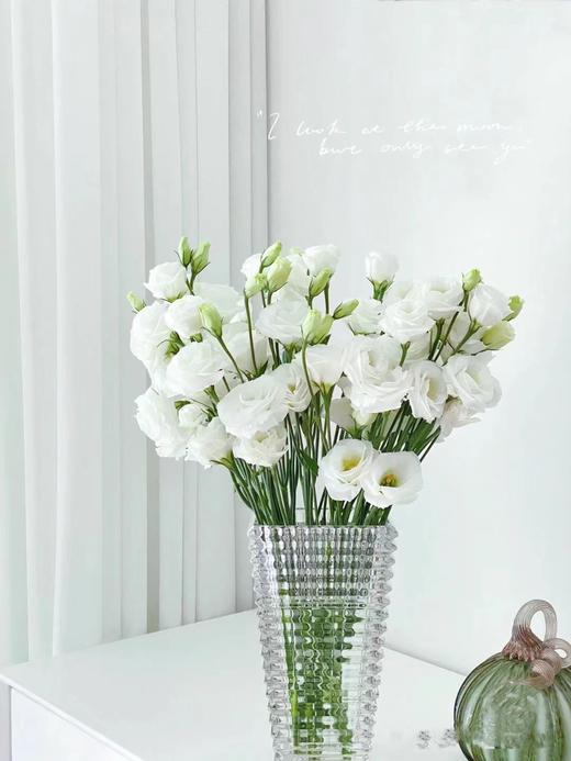 洋桔梗（三枝）颜色随机酒红色/粉色/白色 商品图0