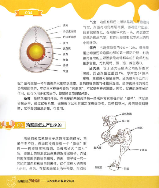 明明白白放心蛋 商品图1