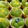 阳光青提果挞 商品缩略图0