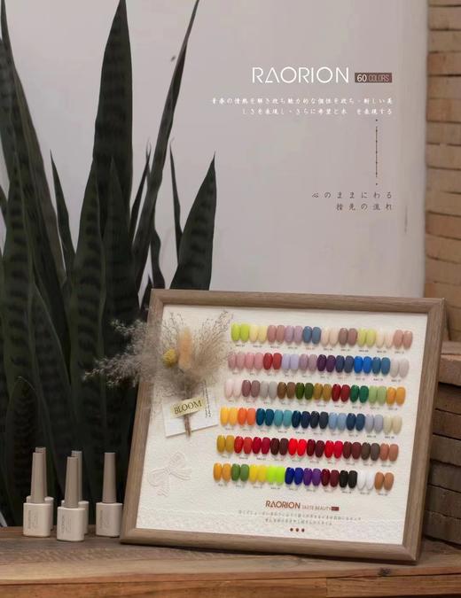.【秒杀价】RAORION 60色. 商品图4