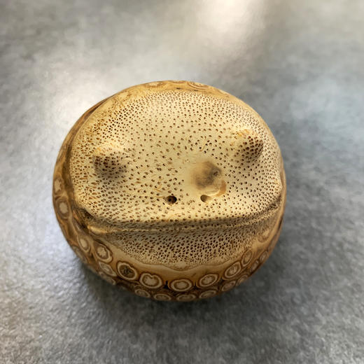 金蟾（简） 商品图0